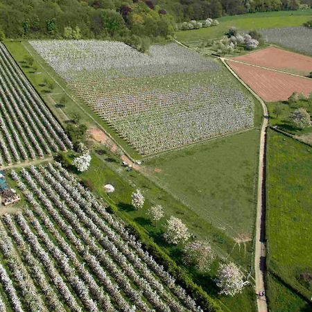 B&B - Eetcafe - Riekelt Gronsveld Bagian luar foto